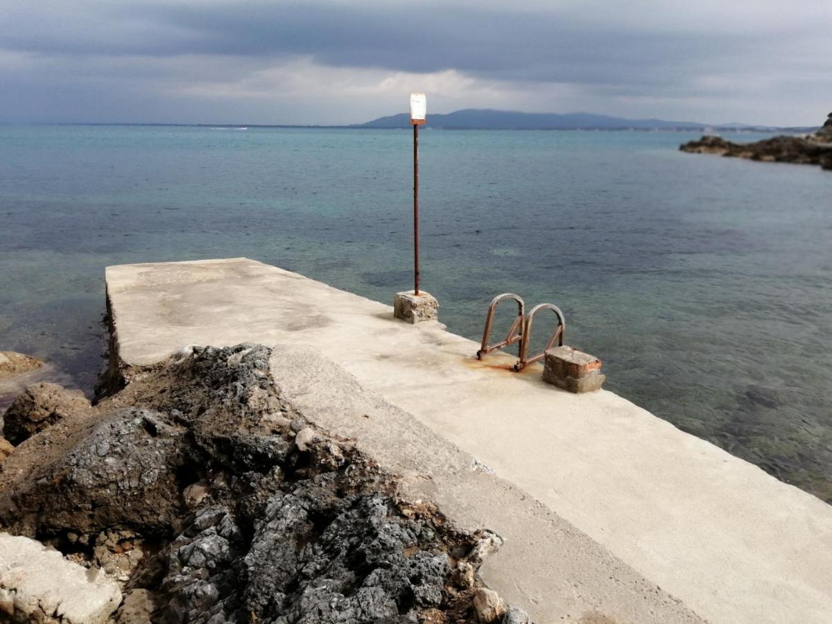 Villa Flora Argentario Porto Santo Stefano  Eksteriør billede