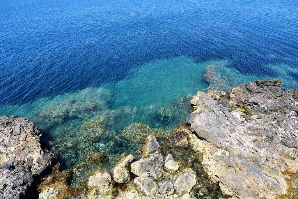Villa Flora Argentario Porto Santo Stefano  Eksteriør billede