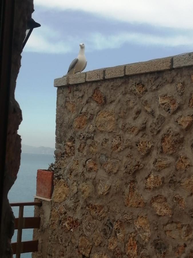 Villa Flora Argentario Porto Santo Stefano  Eksteriør billede